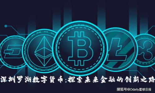 深圳罗湖数字货币:探索未来金融的创新之路