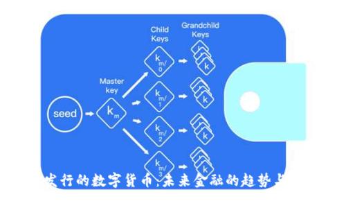 新发行的数字货币:未来金融的趋势与影响