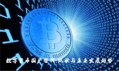 数字货币国产替代:现状与未来发展趋势