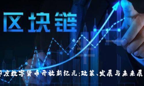 印度数字货币开放新纪元：政策、发展与未来展望