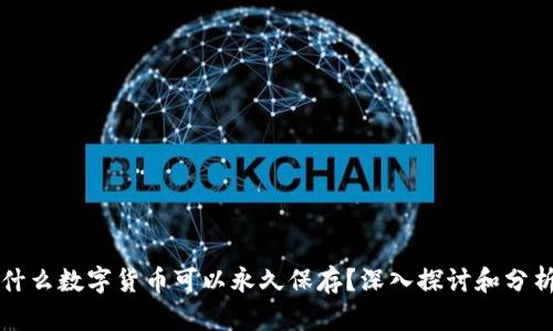 什么数字货币可以永久保存?深入探讨和分析