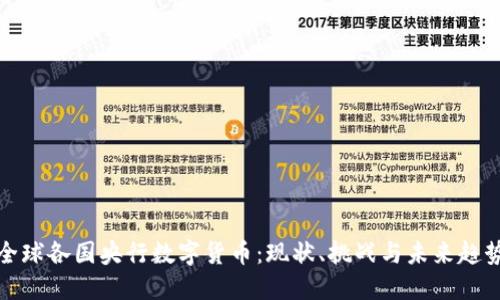 全球各国央行数字货币：现状、挑战与未来趋势
