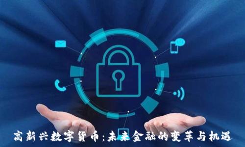 高新兴数字货币:未来金融的变革与机遇