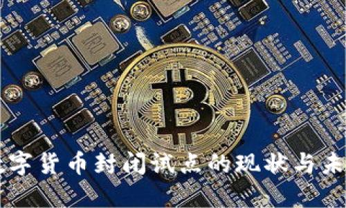 中国数字货币封闭试点的现状与未来展望
