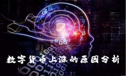 数字货币上涨的原因分析