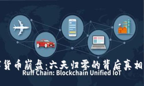 数字货币崩盘:六天归零的背后真相解析