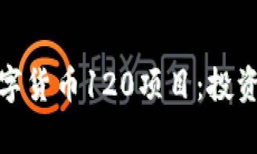 深入解析数字货币120项目：投资机会与风险