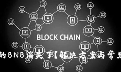 TP钱包中的BNB消失了？解决方案与常见问题解析