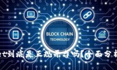 TPWallet到底是正规平台吗？全面分析与